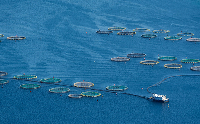 Aquaculture